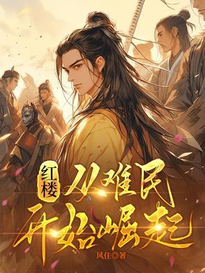 穿越从红楼开始