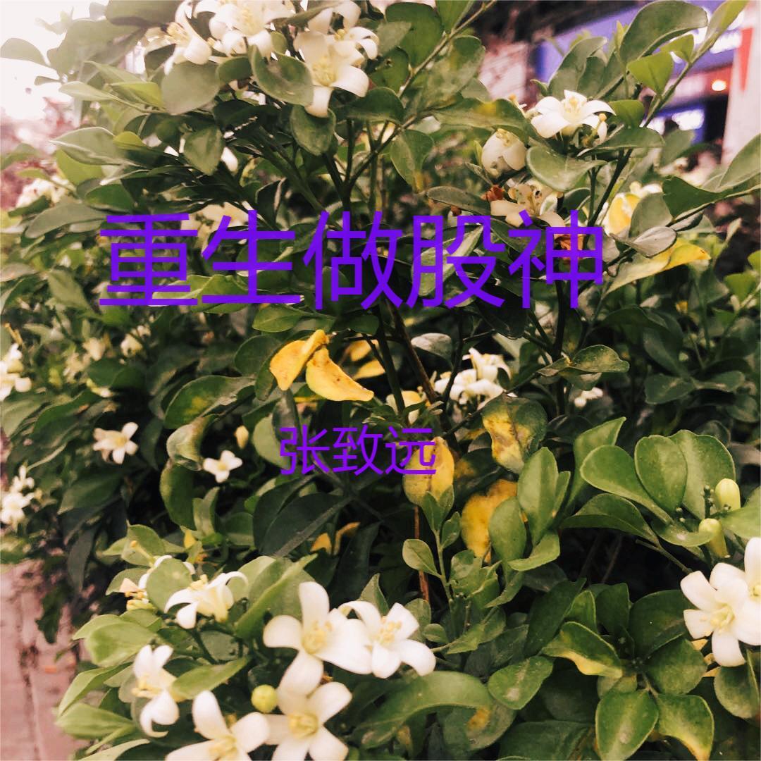重生股神从十倍杠杆开始全文阅读