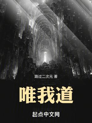 唯我道 笔趣阁