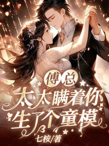 傅太太无弹窗全文阅读