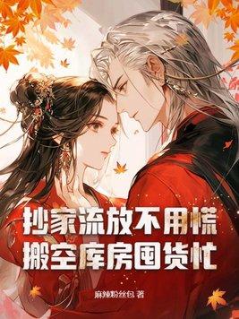 抄家流放文