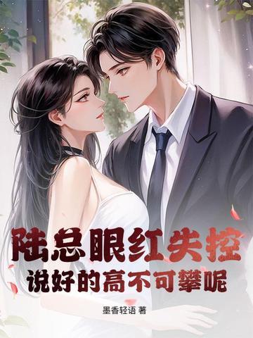 陆总的电视剧陆总电视剧