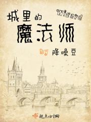 城里的魔法师TXT电子书