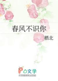 春风不识字下一句