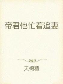 帝君追妻手册