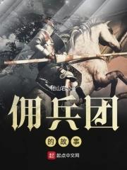 写佣兵团的