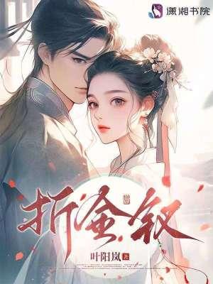 折金钗阅读