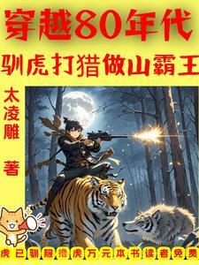 穿越80年代的推荐