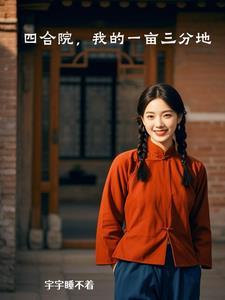 一亩地的四合院设计