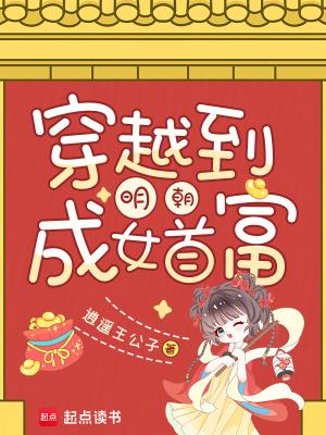 穿越明朝做女婿