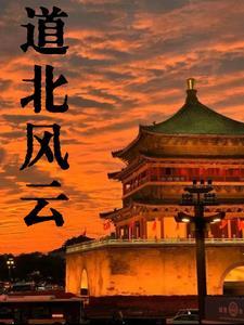 道北风云王敏