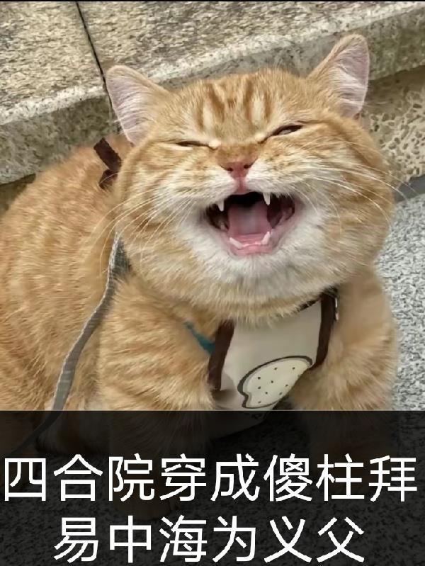 穿越四合院成傻柱