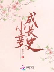 小妾的推荐