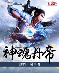 神魂丹帝全篇目录