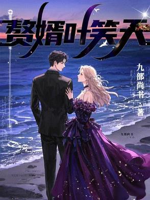 赘婿叶天行