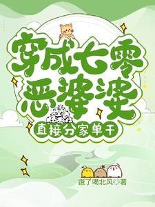穿越七零恶毒婆婆