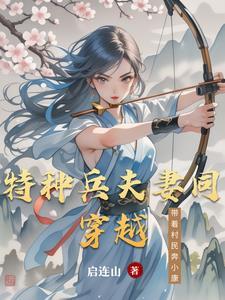 特种兵穿越宠夫