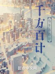 什么意思