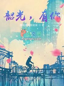 韶光的意思