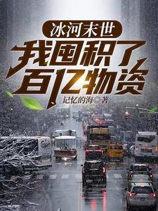 我囤积了百亿物资 记忆的海