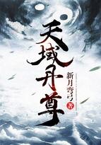 苏尘天域丹尊
