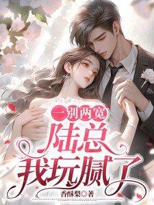 一别两宽陆总我玩腻了 陆衍沉和沈寻是一个人么