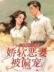 七零军嫂的随军生活