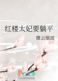 红楼梦太太