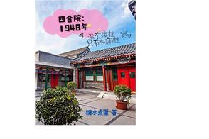 四合院傻柱别样人生