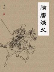 隋唐演义简介