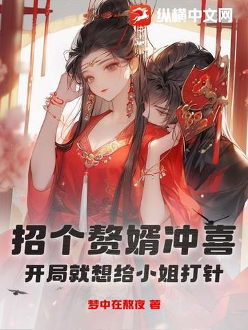 招婿