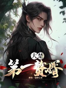 大楚第一赘婿免费阅读全文