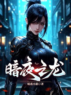暗夜龙袍