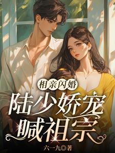 闪婚甜妻太撩人