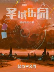 圣域国际有限公司