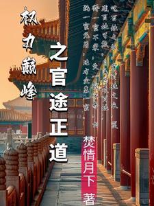 官途权力巅峰免费阅读