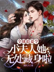 全球追妻令老婆离婚无效全文免费阅读