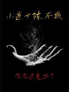 小道士陈不欺真实身份