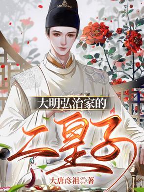 大明弘治年间